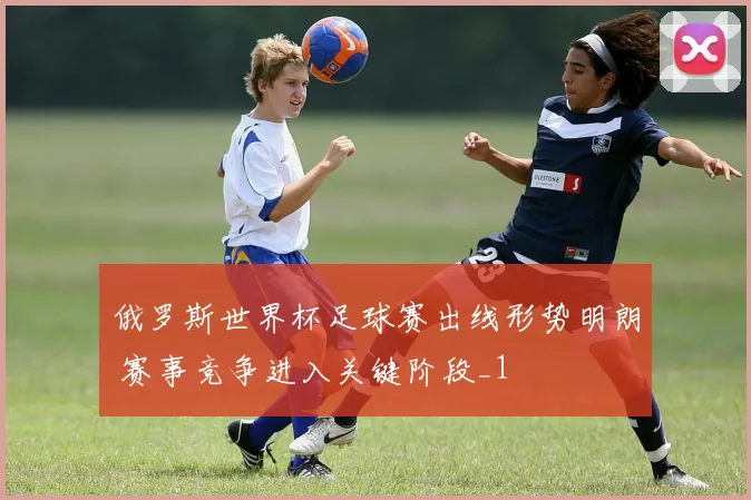 俄罗斯世界杯足球赛出线形势明朗 赛事竞争进入关键阶段_1