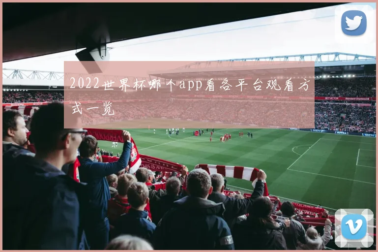 2022世界杯哪个app看各平台观看方式一览
