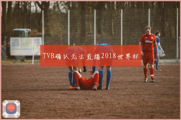TVB确认无法直播2018世界杯