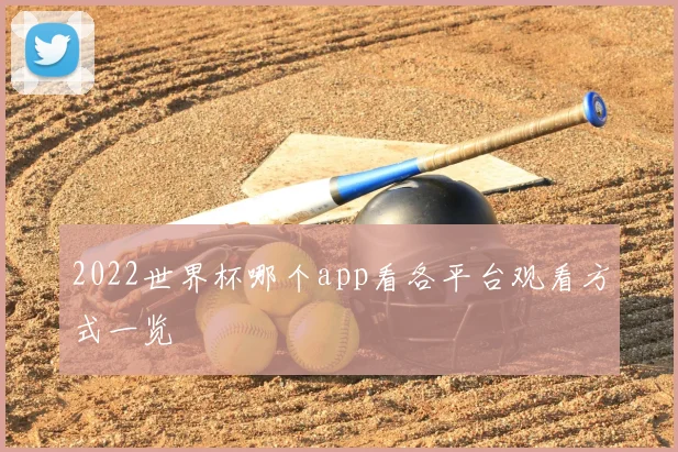 2022世界杯哪个app看各平台观看方式一览