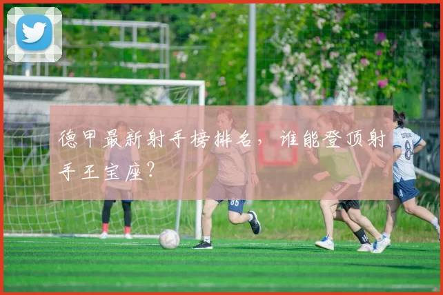 德甲最新射手榜排名，谁能登顶射手王宝座？