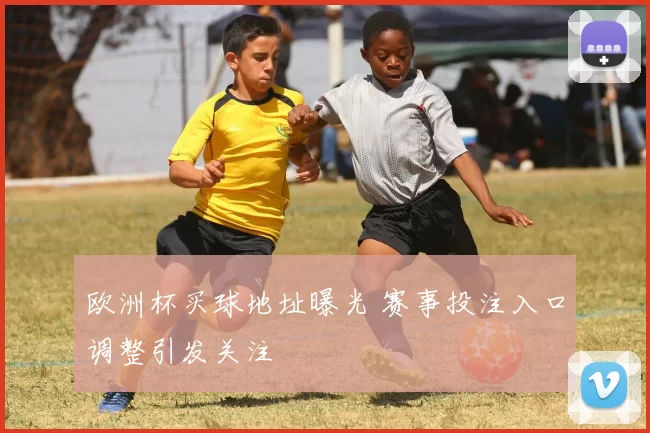 欧洲杯买球地址曝光 赛事投注入口调整引发关注