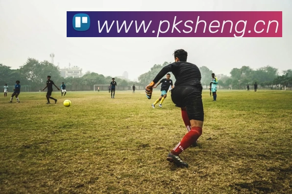 kaiyun「中国大陆」云开·门户网站 - 官方网站|登录入口平台生态图