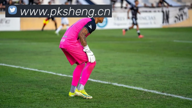 kaiyun「中国大陆」云开·门户网站 - 官方网站|登录入口APP 封面图